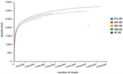 Caecal microbial communities, functional diversity, and metabolic pathways in Ross 308 broiler chickens fed with diets containing different levels of Marama (Tylosema esculentum) bean meal